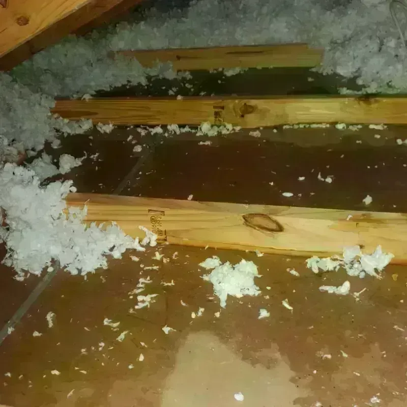 Attic Water Damage in Colton, CA