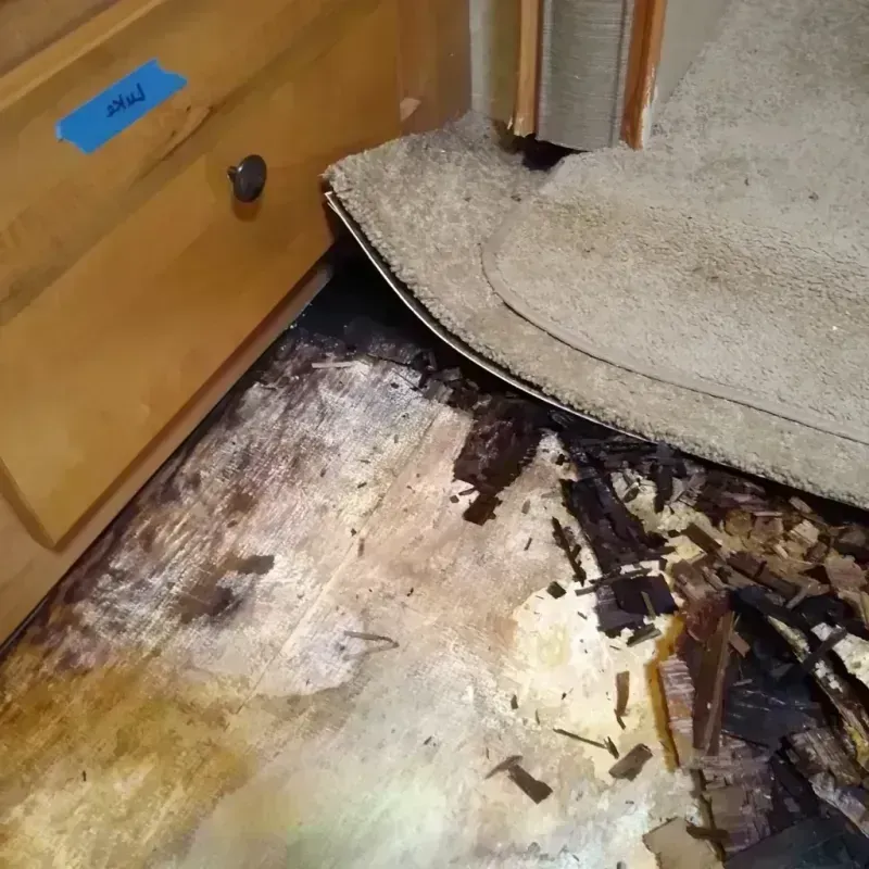 Wood Floor Water Damage in Colton, CA